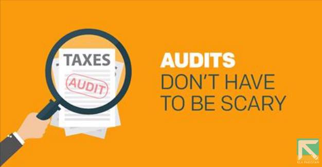 audit, audit meaning, what is auditing